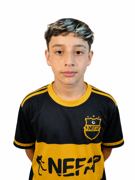 player img