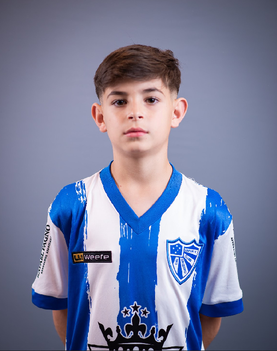 player img