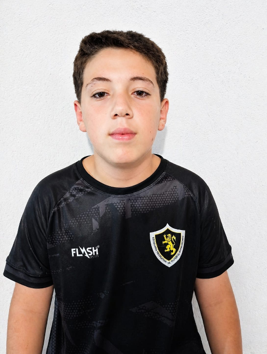 player img