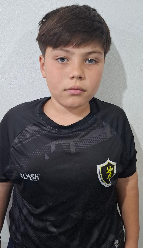 player img