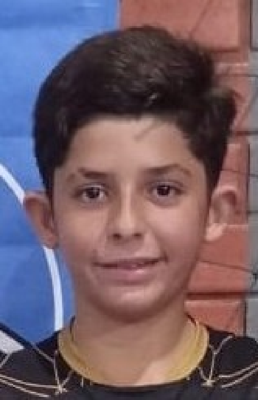 player img