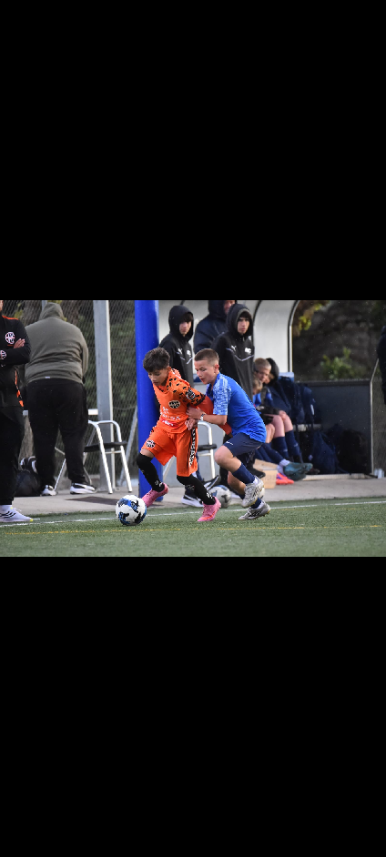 player img