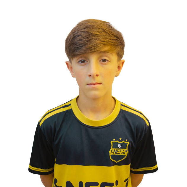 player img