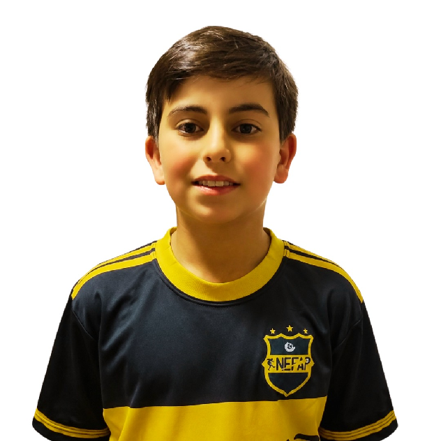 player img