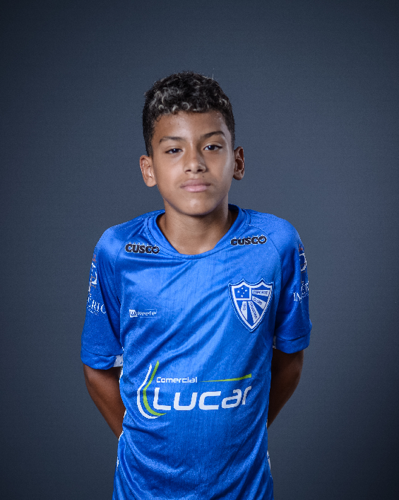 player img