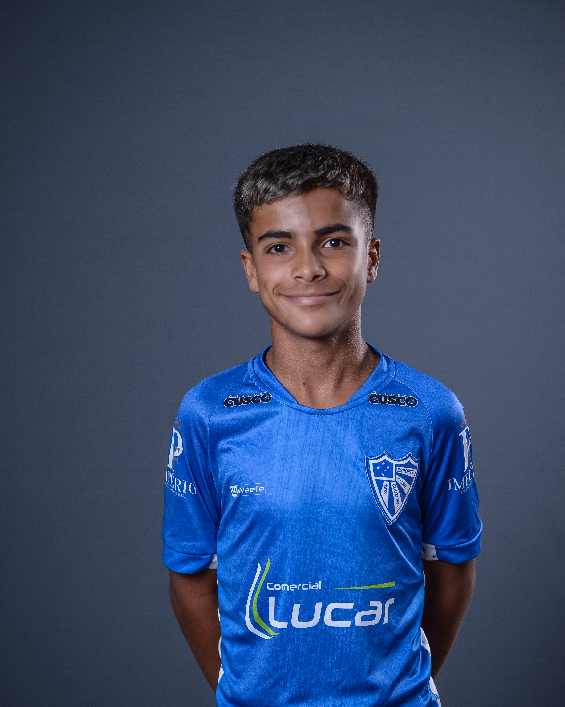 player img
