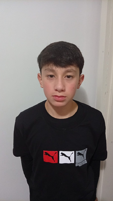 player img