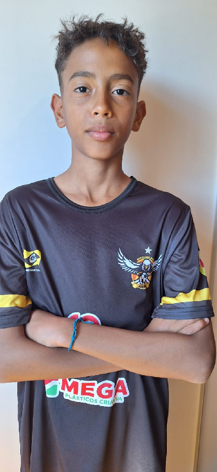 player img