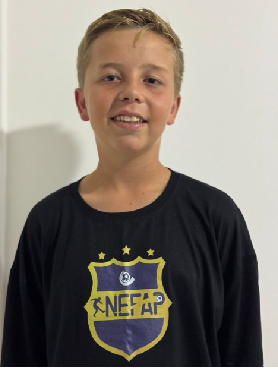 player img