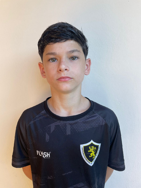 player img