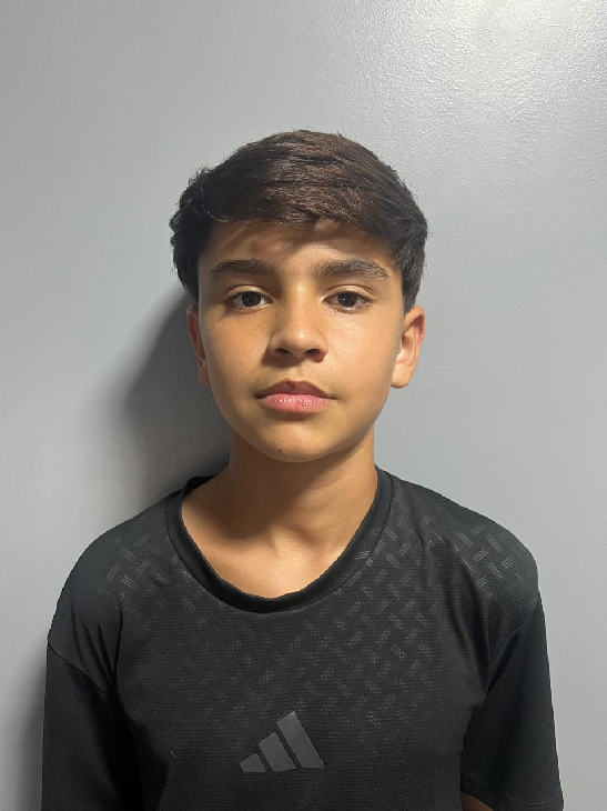 player img