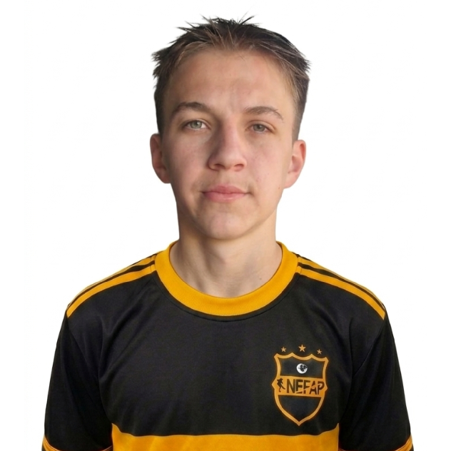 player img