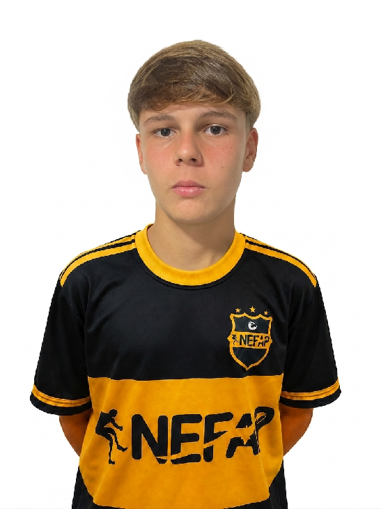 player img