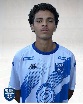 player img