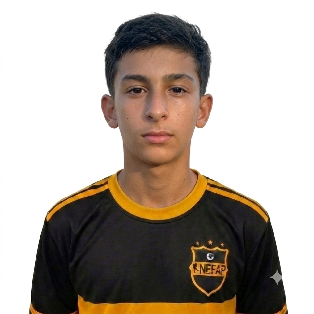 player img
