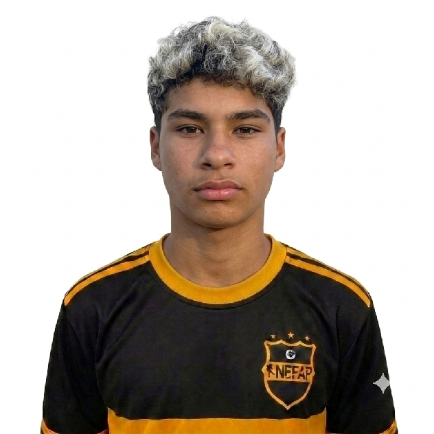 player img