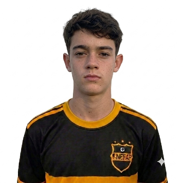 player img