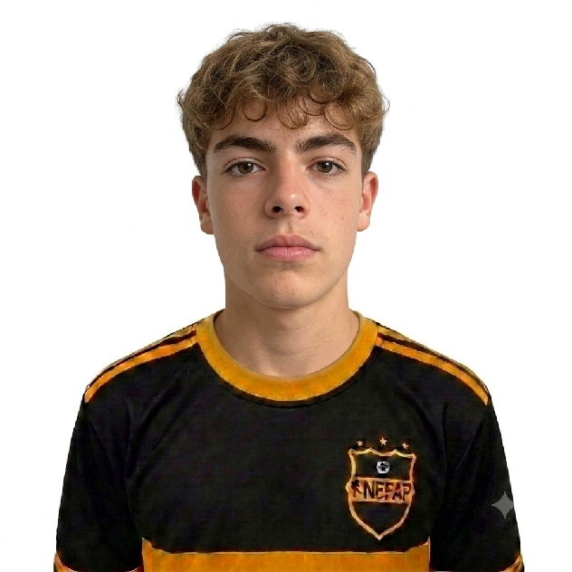 player img