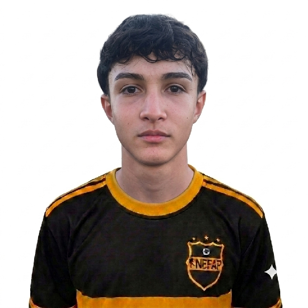 player img