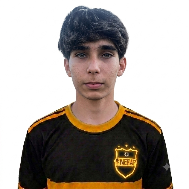 player img