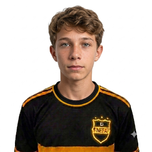 player img