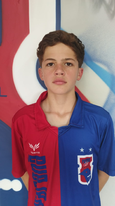 player img