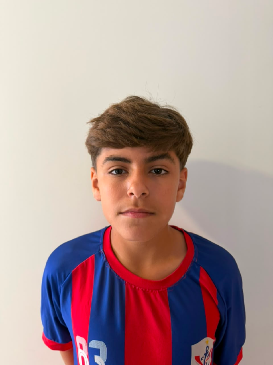 player img