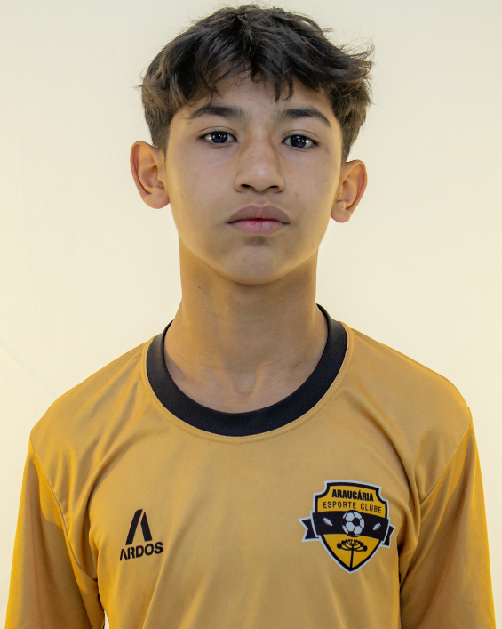 player img