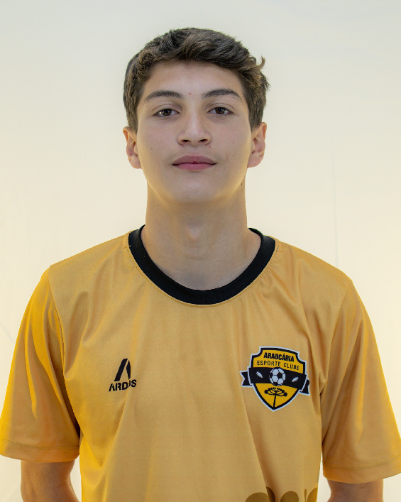 player img