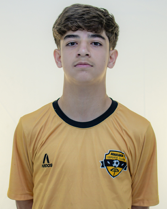 player img