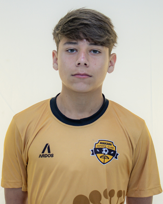 player img
