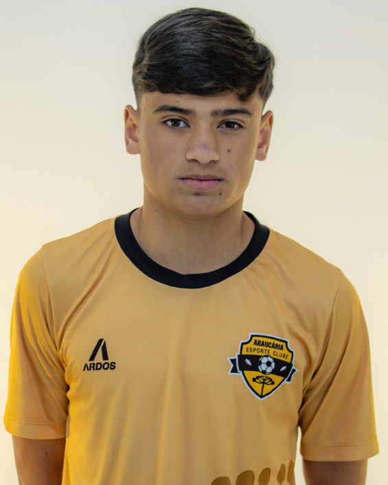 player img