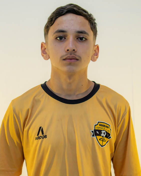 player img