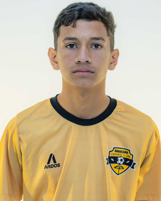 player img