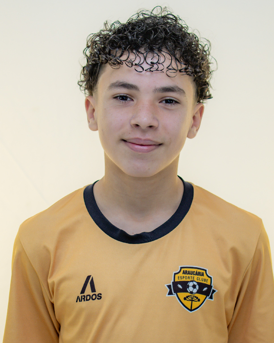 player img