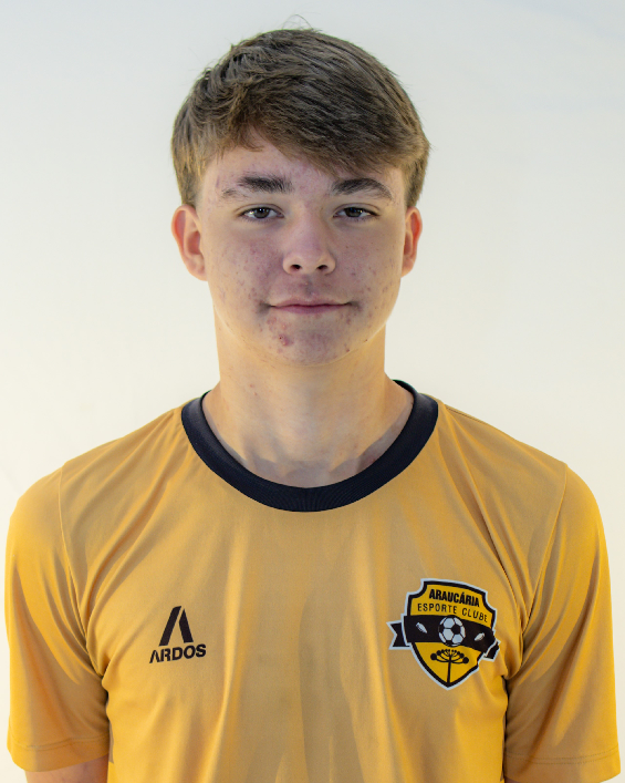 player img