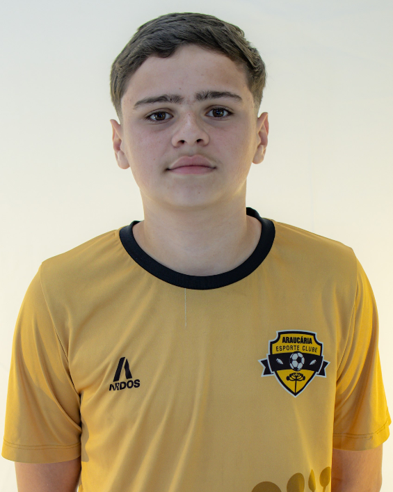 player img