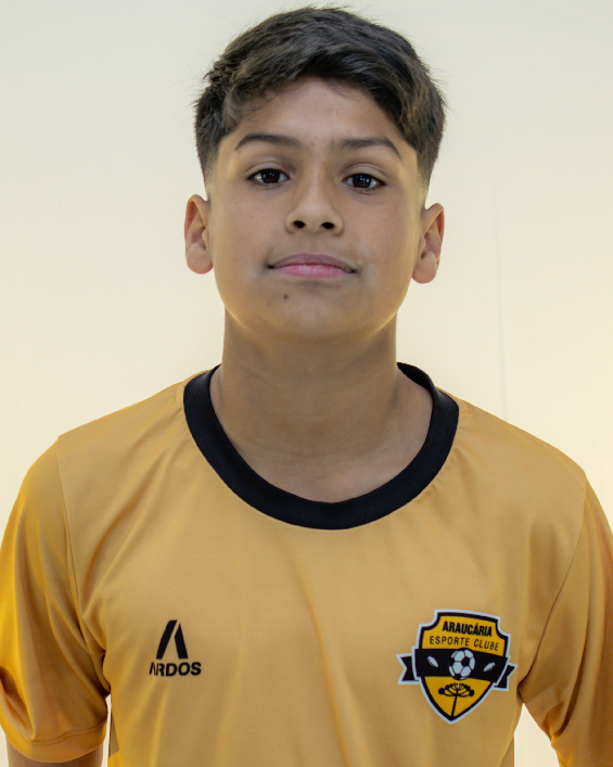 player img