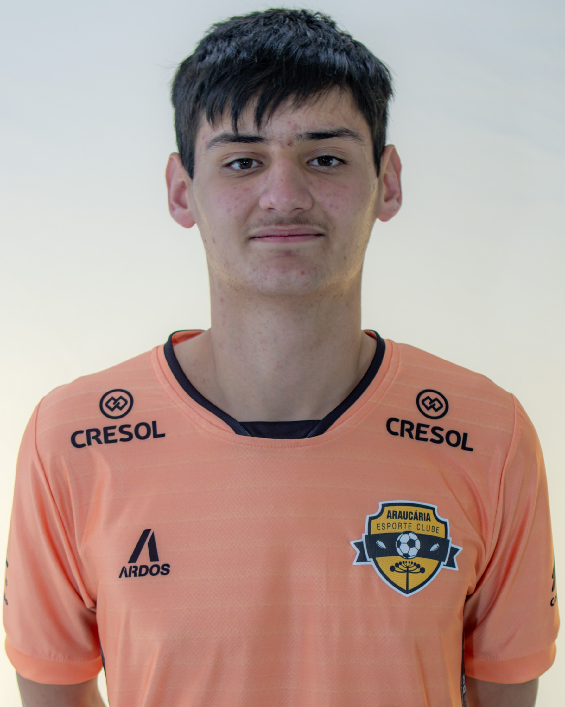 player img