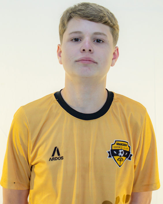 player img