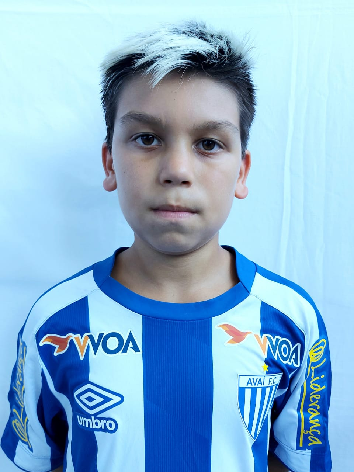 player img