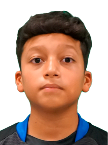 player img